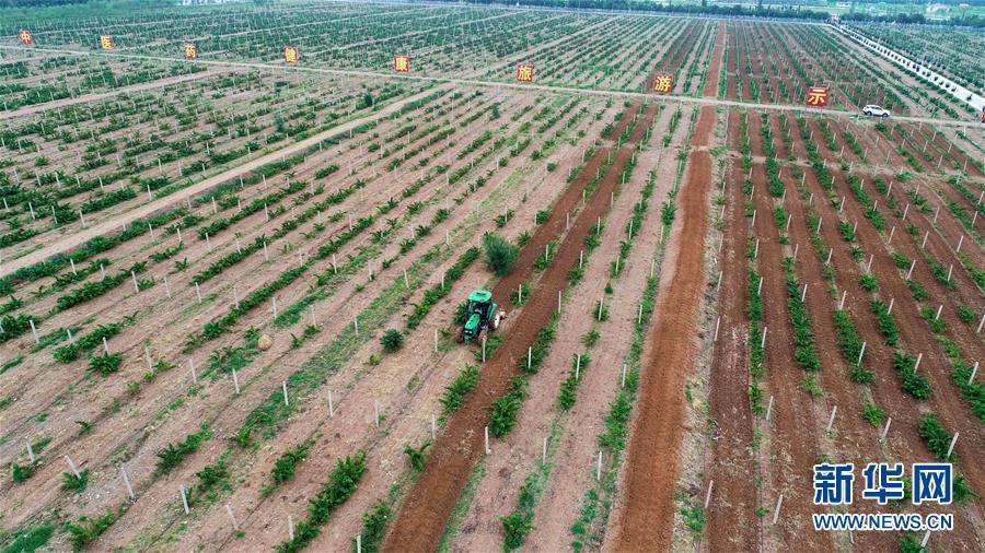 （砥礪奮進(jìn)六十載·塞上寧夏譜新篇·圖文互動）（3）喜看鄉(xiāng)村新畫卷——寧夏奮進(jìn)60年巡禮之鄉(xiāng)村變遷篇