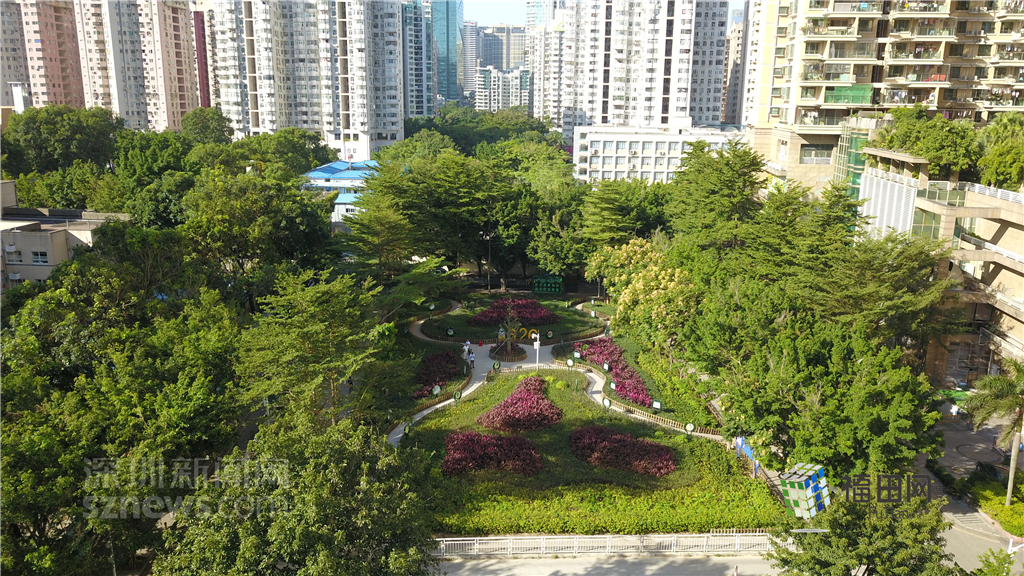  鵬城眼|我的實(shí)事我做主！5年辦理“民生微實(shí)事”6774件}