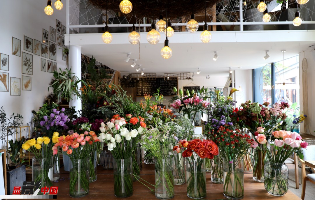 從決定從事鮮花這個行業(yè)以來，王黎媛花了很多的時間和精力去學(xué)習(xí)花藝，不斷提高自己的專業(yè)水平。而在小店的選址、裝修和布置方面，王黎媛同樣花費了不少心思，“希望我的小店和鮮花一樣，是有溫度的、鮮活的?！绷硗?，小小的花店也藏著大大的夢想，“我們云南鮮花很多，但真正做成品牌的卻很少，這是非?？上У摹Ｎ蚁Ｍ盐业牡曜龀善放?，不光能扎根昆明，還能落地到云南的其他城市，甚至省外的城市?！眻D為王黎媛的花店一角。新華網(wǎng) 周亞平/攝 念新洪/文